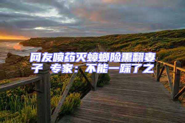 網友噴藥滅蟑螂險熏翻妻子 專家：不能一踩了之