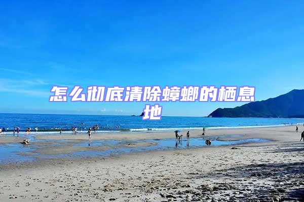 怎么徹底清除蟑螂的棲息地