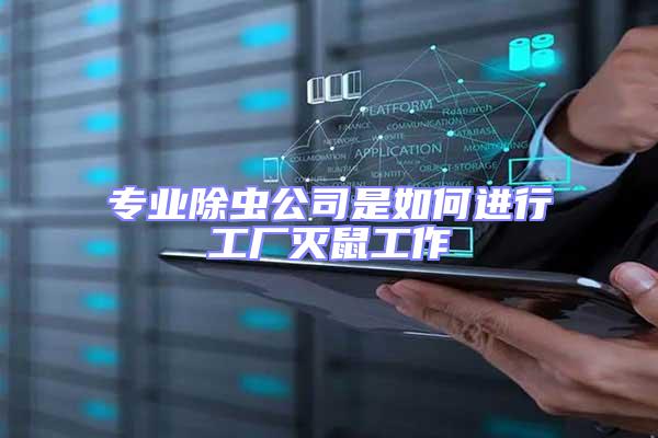專業除蟲公司是如何進行工廠滅鼠工作