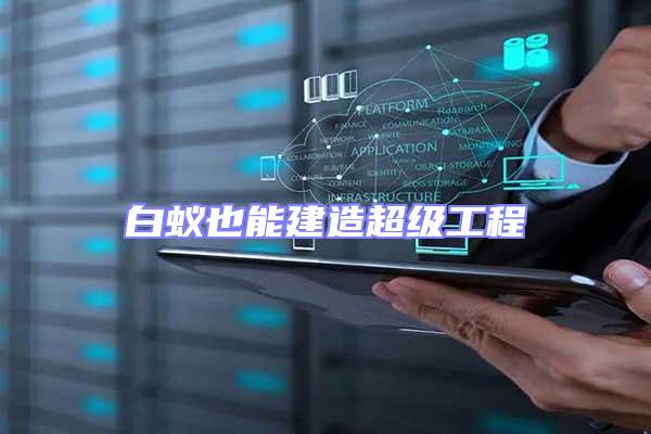 白蟻也能建造超級工程