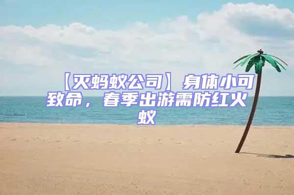 【滅螞蟻公司】身體小可致命，春季出游需防紅火蟻