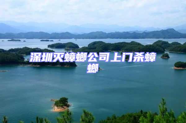 深圳滅蟑螂公司上門殺蟑螂