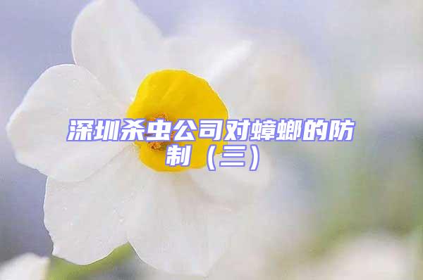 深圳殺蟲公司對蟑螂的防制（三）