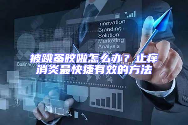 被跳蚤咬啦怎么辦？止癢消炎最快捷有效的方法