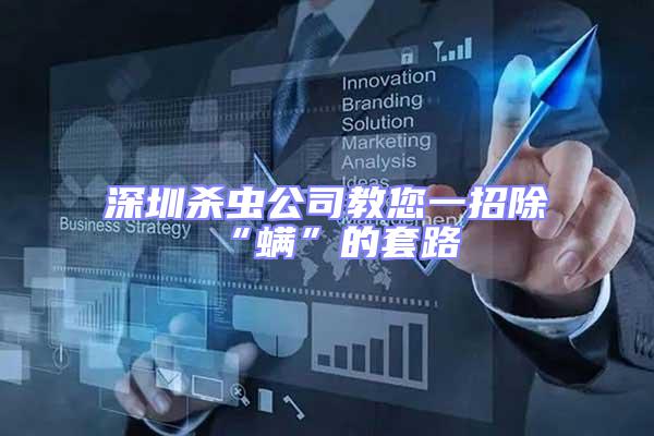 深圳殺蟲公司教您一招除“螨”的套路