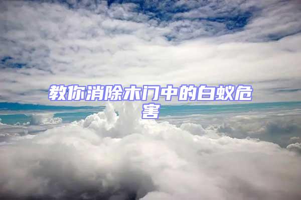 教你消除木門中的白蟻危害