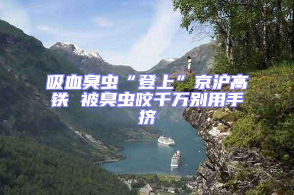 吸血臭蟲“登上”京滬高鐵 被臭蟲咬千萬別用手擠