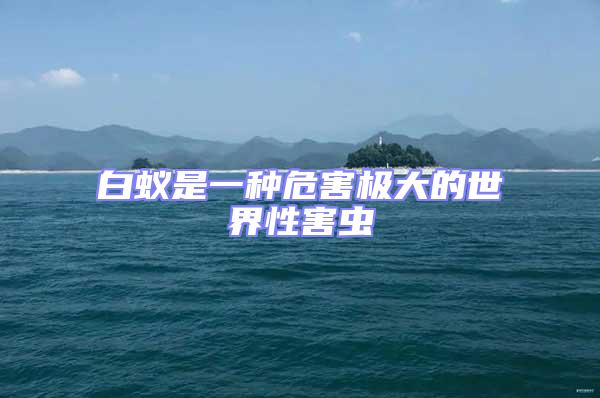 白蟻是一種危害極大的世界性害蟲(chóng)