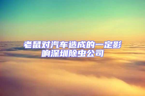 老鼠對汽車造成的一定影響深圳除蟲公司