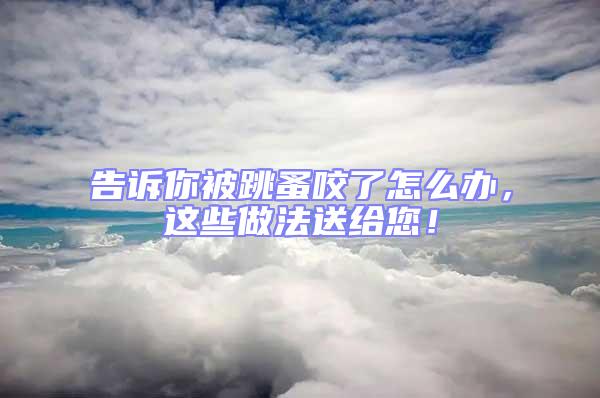告訴你被跳蚤咬了怎么辦，這些做法送給您！