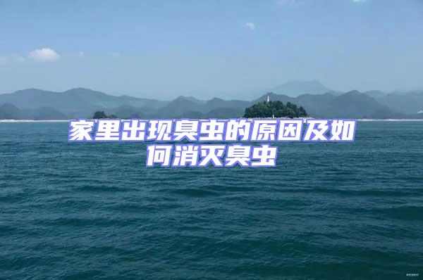 家里出現臭蟲的原因及如何消滅臭蟲