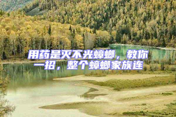 用藥是滅不光蟑螂，教你一招，整個蟑螂家族連