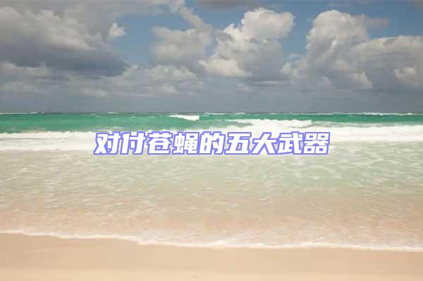對付蒼蠅的五大武器