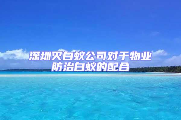 深圳滅白蟻公司對于物業防治白蟻的配合