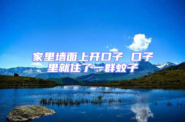 家里墻面上開口子 口子里就住了一群蚊子