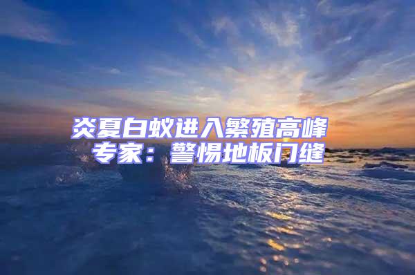 炎夏白蟻進入繁殖高峰 專家：警惕地板門縫