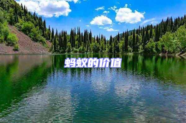 螞蟻的價值