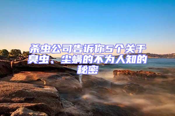 殺蟲公司告訴你5個關于臭蟲、塵螨的不為人知的秘密