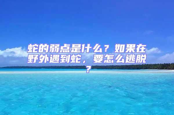 蛇的弱點是什么？如果在野外遇到蛇，要怎么逃脫？