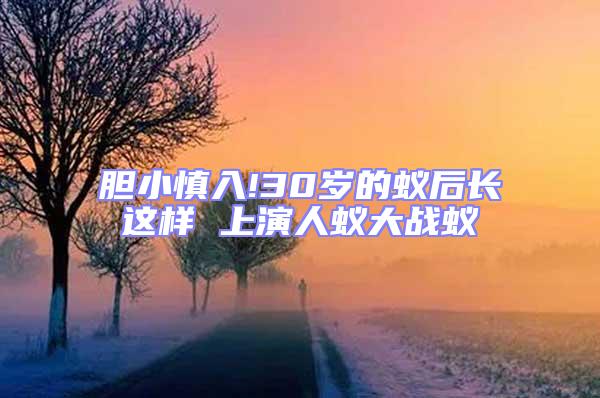 膽小慎入!30歲的蟻后長這樣 上演人蟻大戰蟻