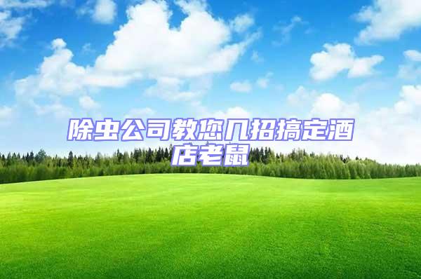 除蟲公司教您幾招搞定酒店老鼠