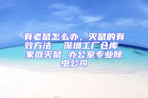 有老鼠怎么辦，滅鼠的有效方法  深圳工廠倉庫 家庭滅鼠 辦公室專業除蟲公司