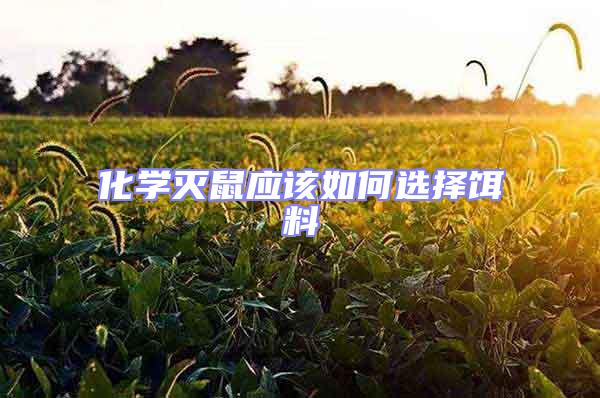 化學滅鼠應該如何選擇餌料
