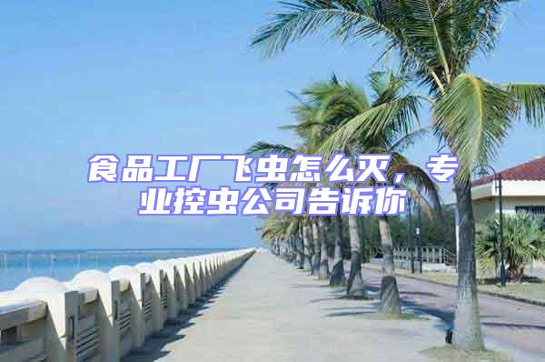 食品工廠飛蟲怎么滅，專業控蟲公司告訴你
