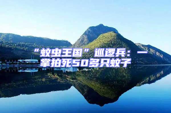 “蚊蟲王國”巡邏兵：一掌拍死50多只蚊子