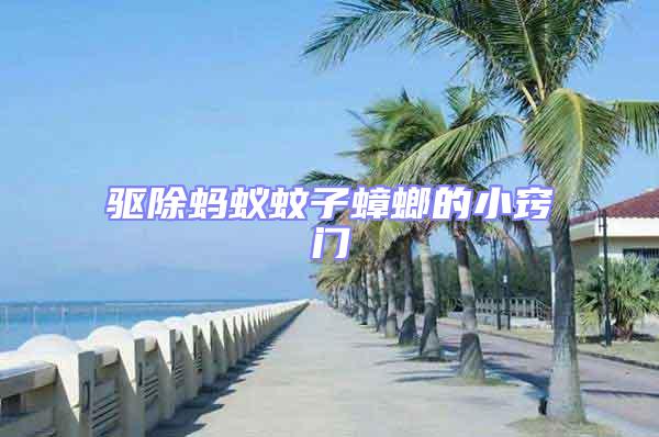 驅(qū)除螞蟻蚊子蟑螂的小竅門