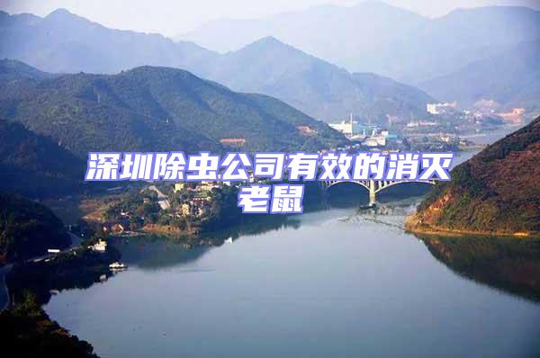 深圳除蟲公司有效的消滅老鼠