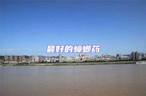 最好的蟑螂藥
