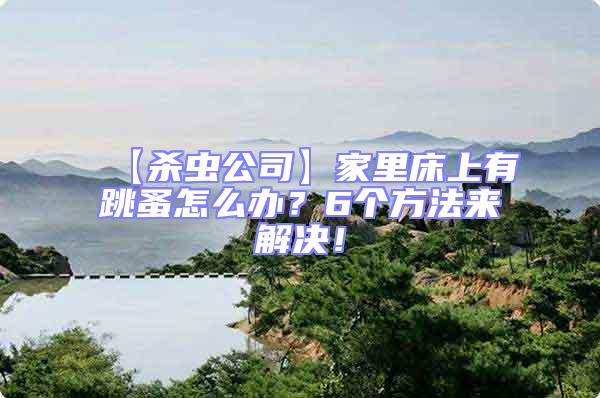 【殺蟲公司】家里床上有跳蚤怎么辦？6個方法來解決！
