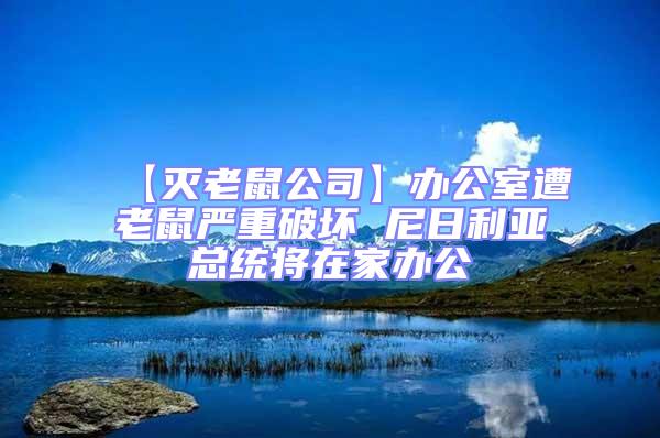【滅老鼠公司】辦公室遭老鼠嚴重破壞 尼日利亞總統將在家辦公