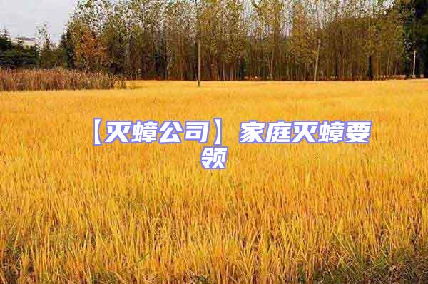 【滅蟑公司】家庭滅蟑要領(lǐng)