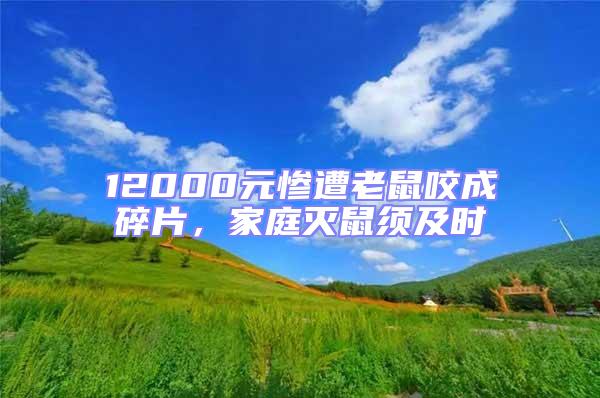 12000元慘遭老鼠咬成碎片，家庭滅鼠須及時(shí)