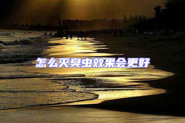 怎么滅臭蟲效果會更好