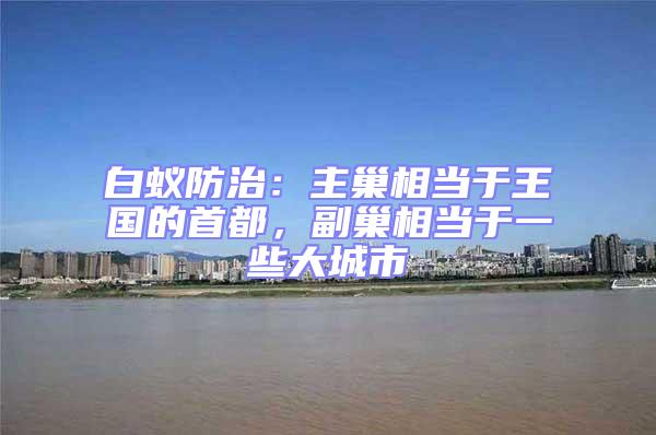 白蟻防治：主巢相當于王國的首都，副巢相當于一些大城市