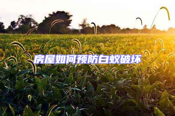 房屋如何預防白蟻破壞