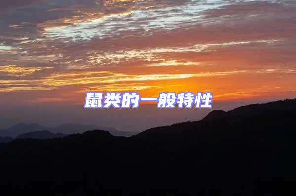 鼠類的一般特性