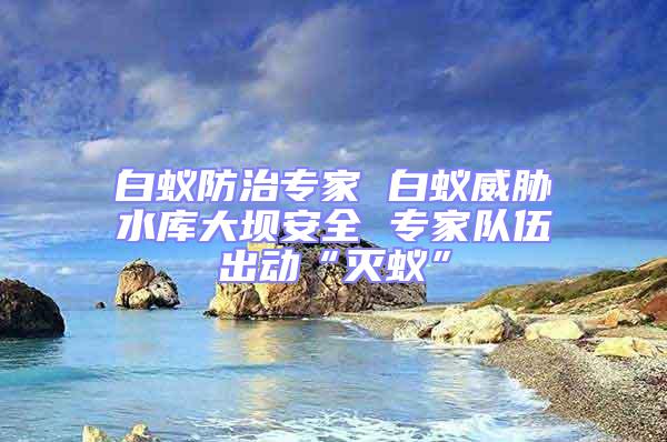 白蟻防治專家 白蟻威脅水庫大壩安全 專家隊伍出動“滅蟻”