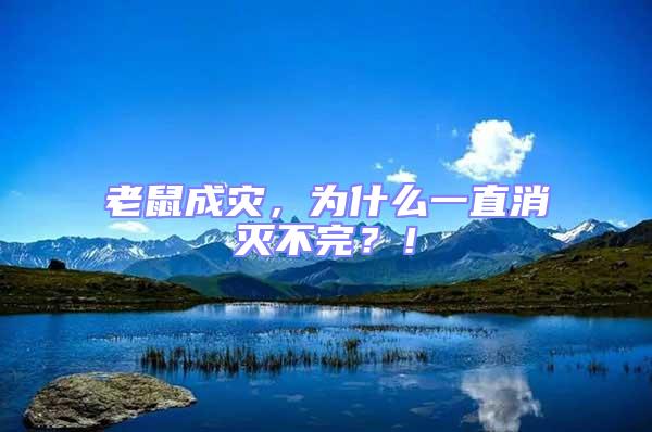 老鼠成災，為什么一直消滅不完？！