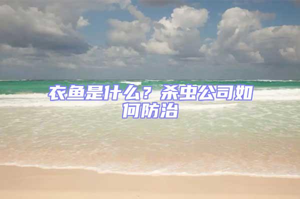 衣魚是什么？殺蟲公司如何防治