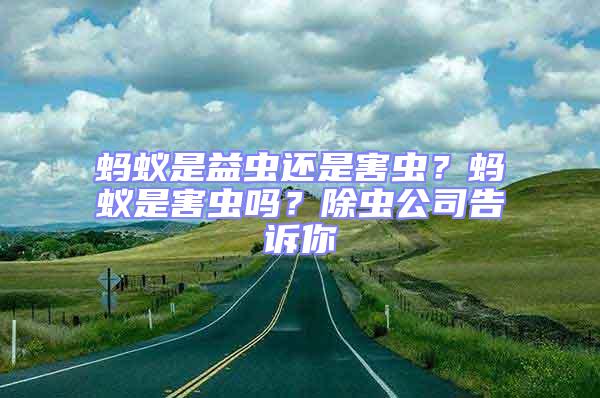 螞蟻是益蟲還是害蟲？螞蟻是害蟲嗎？除蟲公司告訴你