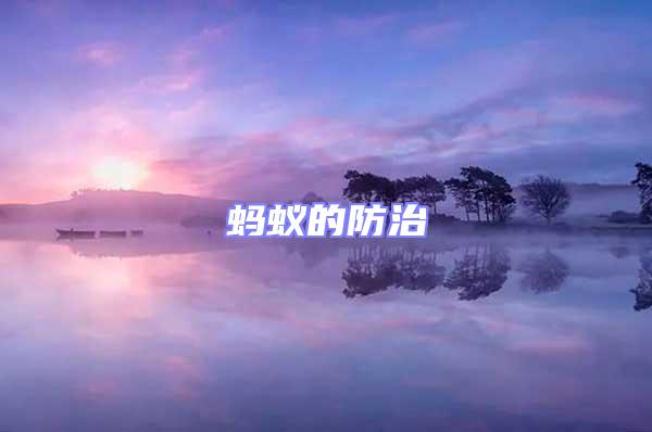 螞蟻的防治