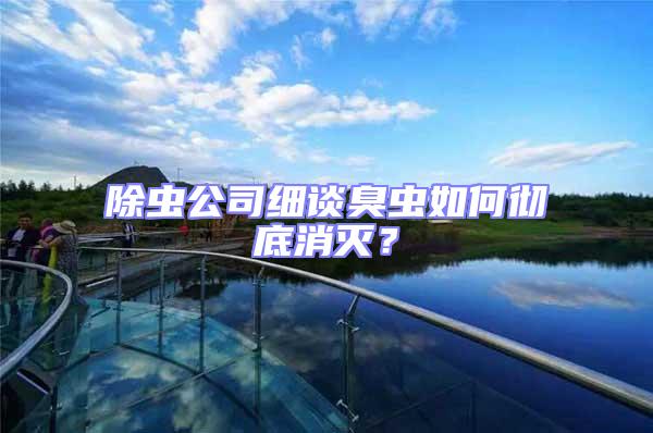 除蟲公司細談臭蟲如何徹底消滅？