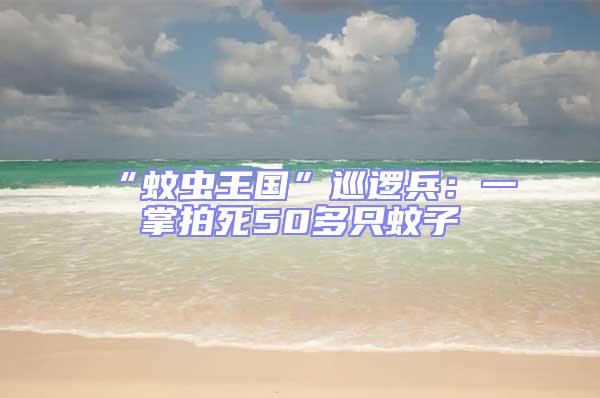 “蚊蟲王國”巡邏兵：一掌拍死50多只蚊子