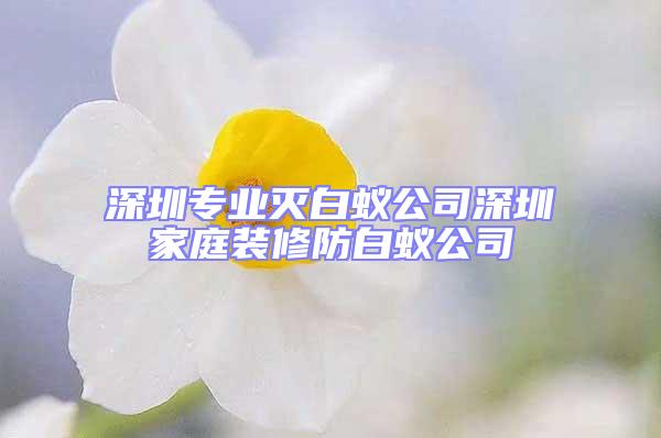 深圳專業滅白蟻公司深圳家庭裝修防白蟻公司