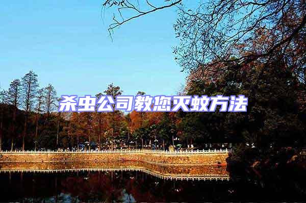 殺蟲公司教您滅蚊方法