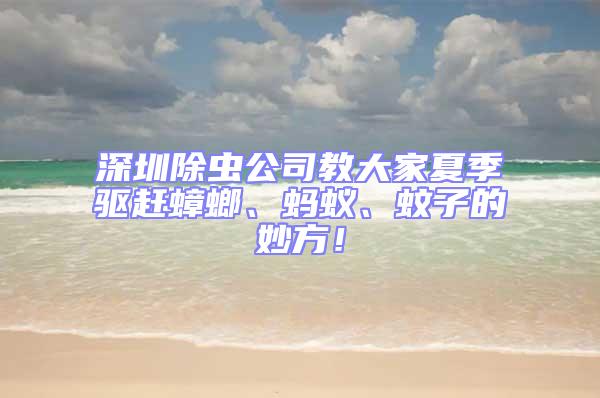 深圳除蟲公司教大家夏季驅趕蟑螂、螞蟻、蚊子的妙方！